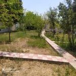 Kirayə (aylıq) 2 otaqlı Bağ evi, Novxanı, Abşeron rayonu 7