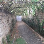 Satılır 5 otaqlı Həyət evi/villa, Masazır, Abşeron rayonu 5