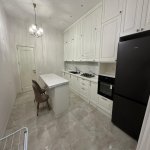 Аренда 2 комнатная Новостройка, м. 28 Мая метро, Насими район 14