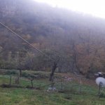 Satılır 1 otaqlı Həyət evi/villa Qax 10