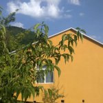 Kirayə (günlük) 2 otaqlı Həyət evi/villa İsmayıllı 2