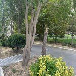 Satılır 5 otaqlı Yeni Tikili, Memar Əcəmi metrosu, 9-cu mikrorayon, Binəqədi rayonu 24