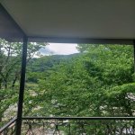 Kirayə (günlük) 4 otaqlı Həyət evi/villa Qəbələ 22