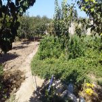 Satılır 5 otaqlı Həyət evi/villa, Buzovna, Xəzər rayonu 5