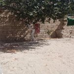 Satılır 4 otaqlı Həyət evi/villa, Hövsan qəs., Suraxanı rayonu 17