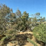 Satılır 4 otaqlı Həyət evi/villa, Mərdəkan, Xəzər rayonu 5