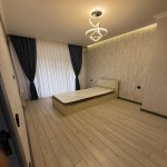 Kirayə (aylıq) 3 otaqlı Yeni Tikili, Nərimanov rayonu 3