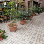 Kirayə (aylıq) Obyekt, Əhmədli metrosu, Əhmədli, Xətai rayonu 5