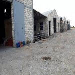 Kirayə (aylıq) Obyekt Xaçmaz 7