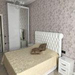 Kirayə (aylıq) 3 otaqlı Yeni Tikili, Nərimanov rayonu 6