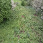 Satılır Torpaq Qəbələ 6