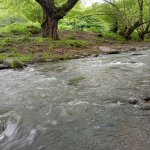 Kirayə (günlük) 3 otaqlı Həyət evi/villa Lerik 15