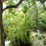 Satılır 3 otaqlı Həyət evi/villa, Masazır, Abşeron rayonu 9