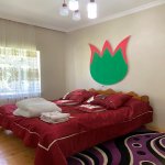 Kirayə (günlük) 5 otaqlı Həyət evi/villa Qəbələ 23