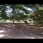 Продажа Участок Гябяля 6