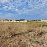 Satılır Torpaq, Novxanı, Abşeron rayonu 2