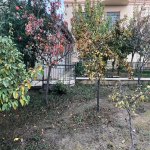 Kirayə (aylıq) 6 otaqlı Həyət evi/villa, Nəsimi metrosu, 9-cu mikrorayon, Binəqədi rayonu 26