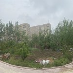 Продажа Участок, пос. Локбатан, 28 Малл, Гарадаг район 1