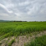 Продажа Участок Исмаиллы 5