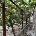 Satılır 6 otaqlı Həyət evi/villa, Fatmayi, Abşeron rayonu 5