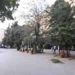 Satılır 3 otaqlı Köhnə Tikili, Elmlər akademiyası metrosu, Yasamal rayonu 17