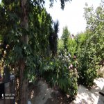 Satılır 7 otaqlı Bağ evi, Goradil, Abşeron rayonu 40