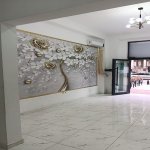 Kirayə (aylıq) Obyekt, Gənclik metrosu, Nəsimi rayonu 3