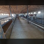 Satılır Obyekt Şəmkir 10