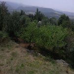 Satılır 12 otaqlı Həyət evi/villa İsmayıllı 12