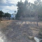 Satılır Torpaq, Qara Qarayev metrosu, Sabunçu rayonu 6