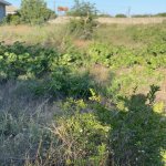 Satılır Torpaq, Koroğlu metrosu, Maştağa qəs., Sabunçu rayonu 6