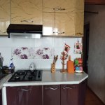 Kirayə (aylıq) 3 otaqlı Köhnə Tikili, Bakıxanov qəs., Sabunçu rayonu 7