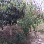 Satılır 3 otaqlı Həyət evi/villa, Masazır, Abşeron rayonu 7