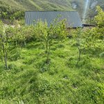 Satılır 5 otaqlı Bağ evi Xızı 10