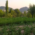 Satılır Torpaq Şamaxı 6