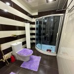 Kirayə (aylıq) 3 otaqlı Yeni Tikili, Nəriman Nərimanov metrosu, Heydər Əliyev Mərkəzi, Nərimanov rayonu 8