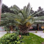 Аренда Объект, пос. Бакиханова, Сабунчу район 1