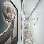 Kirayə (günlük) 4 otaqlı Həyət evi/villa Qəbələ 21