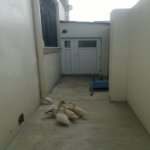 Satılır 5 otaqlı Həyət evi/villa Xırdalan 20