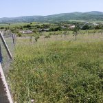 Satılır 4 otaqlı Həyət evi/villa İsmayıllı 1
