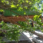 Satılır Torpaq, Novxanı, Abşeron rayonu 7