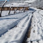 Продажа Участок Гябяля 6