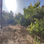 Satılır 9 otaqlı Həyət evi/villa, Saray, Abşeron rayonu 23