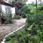 Kirayə (günlük) 6 otaqlı Bağ evi Lerik 2