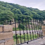 Kirayə (günlük) 4 otaqlı Həyət evi/villa Qax 16