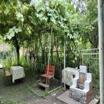 Kirayə (günlük) 3 otaqlı Həyət evi/villa Qax 6