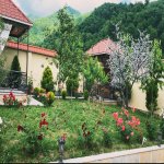 Kirayə (günlük) 4 otaqlı Həyət evi/villa İsmayıllı 8