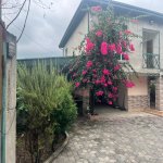 Kirayə (günlük) 4 otaqlı Həyət evi/villa Astara 3