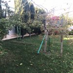 Kirayə (aylıq) 7 otaqlı Bağ evi, Novxanı, Abşeron rayonu 6