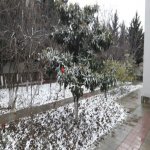 Satılır 5 otaqlı Həyət evi/villa, Elmlər akademiyası metrosu, Yasamal rayonu 15